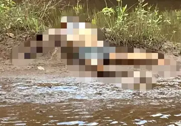 VÍDEO: "Pescador" encontra corpo no Rio Pardo em Ribas do Rio Pardo