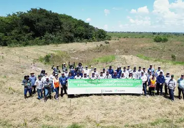 Suzano conclui plantio de 45 mil mudas nativas no Córrego Retirinho em Ribas do Rio Pardo (MS)
