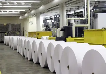 Setor de papel e celulose se prepara para novo ciclo de investimentos