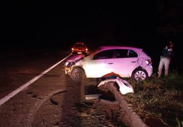 Animal solto na BR-262 provoca acidente entre Ribas do Rio Pardo e Água Clara