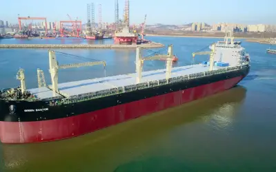 Maior transportador de celulose do mundo, navio que saiu de Santos conclui viagem à China