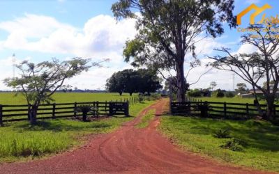 Fazenda em Ribas do Rio Pardo é Alvo de Furto Após Encerramento de Arrendamento