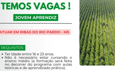 JS Florestal abre vagas para Jovem Aprendiz em Ribas do Rio Pardo