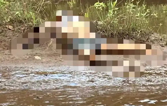 VÍDEO: "Pescador" encontra corpo no Rio Pardo em Ribas do Rio Pardo