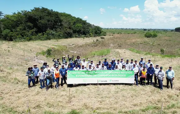 Suzano conclui plantio de 45 mil mudas nativas no Córrego Retirinho em Ribas do Rio Pardo (MS)