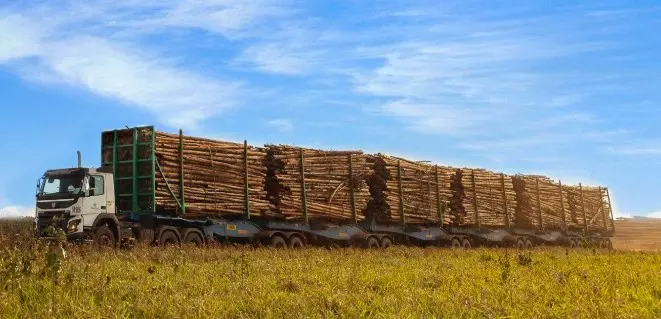 Governo lança licitação de R$ 8,7 milhões para Construção de Passagem Inferior em Ribas do Rio Pardo