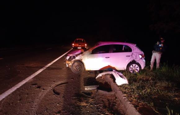 Animal solto na BR-262 provoca acidente entre Ribas do Rio Pardo e Água Clara