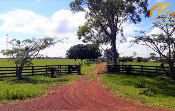 Fazenda em Ribas do Rio Pardo é Alvo de Furto Após Encerramento de Arrendamento