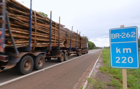 Rota da Celulose em MS tem novo edital publicado; leilão será em maio